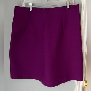 High Waisted Miu Miu Skirt